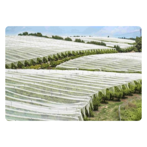 ผ้าใยสังเคราะห์ที่มีเสถียรภาพด้วยรังสี UV สำหรับม้วนสีขาวทางการเกษตรเหมาะสำหรับเรือนเพาะชำและที่คลุมปลูกพืช - Product Image 5