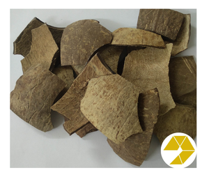 Cáscara de coco crudo Premium para manualidades y carbón vegetal 100% suministro a granel natural listo para exportar cáscara de coco crudo de alta calidad a la venta - Product Image 5