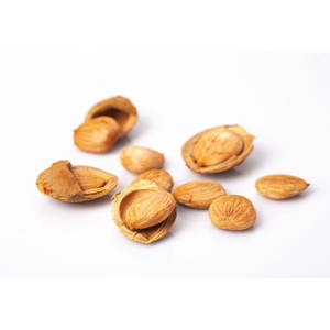 Núcleos de Albaricoque |   Alto contenido de aceite, grado A1 |   3 Años de Vida Útil para Uso Herbal y Orgánico - Product Image 1