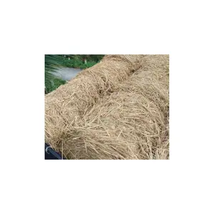 POST-HAVERST RESIDUES - DRIED RAW PADDY STRAW - NATURAL DEHYDRATED RICE GRASS PACKED IN BALE OR ROLL