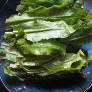 Proveedor de Vietnam Exporta Polvo de Culantro Chadon Beni a Granel con Calidad Premium y Buen Servicio, Buena Especia para Cocinar - Product Image 2