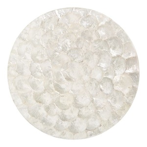 Sous-verres en nacre naturelle offrant une utilité décorative pour les espaces de vie élégants - Product Image 5