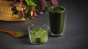 ผงใบ Perilla พร้อมฉลากที่สะอาดส่วนผสมที่ไม่ใช่จีเอ็มโอสำหรับชามังสวิรัติ - Product Image 5