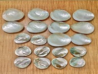 Assiettes ovales modernes de luxe en nacre polies, vaisselle artisanale écologique pour cadeaux d'affaires
