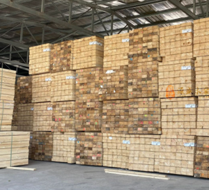 Darx Construction – Noyau de porte en bois lamellé-collé (LVL) en bouleau et peuplier, en vente - Product Image 6