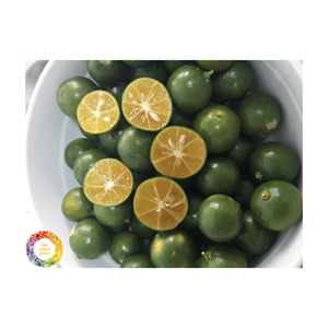 Concentré de jus de kumquat surgelé IQF Origine vietnamienne/Boisson de calamansi de qualité supérieure Meilleur prix Purée de calamondin agrumes japonica - Product Image 1