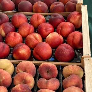 Nectarinas Rojas Frescas de Alta Calidad - Calidad de Exportación Clase I - Fruta con Pulpa Amarilla Dulce - Nectarinas con Alto Contenido de Brix 11% - Venta al por Mayor - Product Image 5