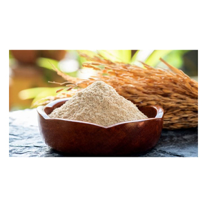 Poudre de peptides de riz de haute qualité avec spécifications de qualité vérifiées - Product Image 1
