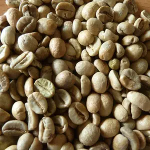 Hạt cà phê hàng đầu từ màn hình Arabica Việt Nam 16 chưa rửa // WhatsApp, Viber : + 84-899626886. Ông Chris