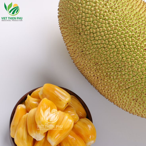 VIET THIEN PHU Orgánica IQF Pelada Jackfruit Mitades Entera Dulce Sabido Frozen Jackfruit Vietnam Venta caliente Envasado al vacío a granel Agua - Product Image 6