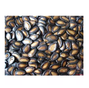 Graines de pastèque séchées en gros, décortiquées à partir de graines de pastèque noires et rouges - Product Image 3