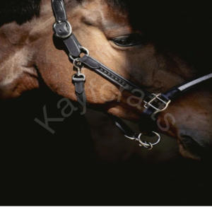 Cabestro de caballo de cuero elegante con banda nasal de diamantes de imitación y ajuste doble ajustable para un aspecto elegante - Product Image 2