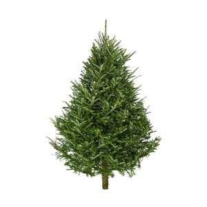 6FT Deluxe đổ xô <span class=keywords><strong>Fraser</strong></span> <span class=keywords><strong>Fir</strong></span> nhân tạo đầy đủ PE tuyết cây giáng sinh với 500 ấm trắng đèn cho trong nhà/ngoài trời sử dụng - Product Image 2