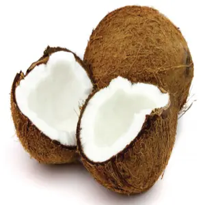 Noci di cocco Semi semigreggio con coperchio su stile maturo naturale marrone tropicale esportazione noci di cocco fresche