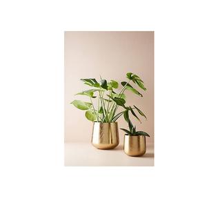 Jardinière décorative en métal de style doré brillant avec finition rustique, idéale pour les maisons de style campagnard et les présentations de jardin - Product Image 1