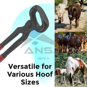 Pinza de pezuña de acero inoxidable de alta calidad de 15 "para caballos, herrador de agarre de vinilo cómodo resistente al óxido y duradero - Product Image 5