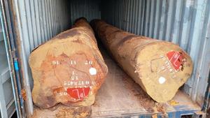 Bois d'Azobe Ekiki Scié en Gros, Planches de Bois Dur de Qualité Supérieure, Écologique, Résistant à l'Eau, Garantie 2 Ans, Origine États-Unis - Product Image 3