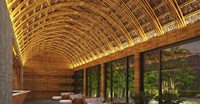 Venta al por mayor de postes de bambú tratados y secos, vallas para exteriores, bastones de bambú grandes, decoraciones de jardín para construcción de bambú nulgar