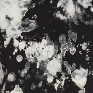 2024 T-shirt mode pour hommes de haute qualité 100% coton hauts à manches courtes pour l'été - Product Image 6