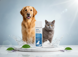 Premium PetBiology Therapy Shampoo Gentle Lactic Acid & Allantoin Formula Plastic Container for <b>Dogs</b> & Cats 250 ml - Product Image 5
