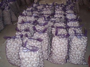 Green Farms Cam Ail frais à vendre - Product Image 5