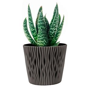 <b>Set</b> of 4 Sandy Round 3L round plastic flower pots in anthracite color 18.9 x 18.9 x 16.5 cm + FREE <b>set</b> of 6 <b>garden</b> <b>tools</b> - Product Image 5