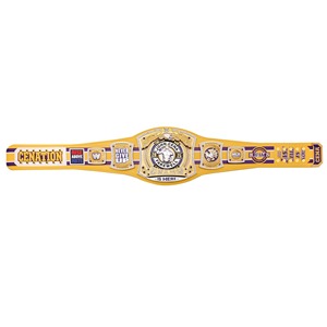 New England Patriots Championship Ceinture de lutte Football américain 4mm Source WWE Championship Instrument Set Ronpex - Product Image 6