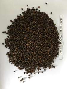 [KEITH VILACONIC] SUMINISTRO DE CALIDAD PREMIUM PRECIO COMPETITIVO 550G/L PIMIENTA NEGRA LIMPIA SECA CRUDA PARA EXPORTACIÓN - Product Image 6