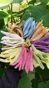 Mermelada de Coco Pura al por Mayor de Vietnam con Ingredientes Naturales y Calidad Consistente - Product Image 2