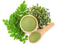PUISSANCE MORINGA DE HAUTE QUALITÉ DU VIETNAM/ HOT DEAL 2025 EXPORTATION DE PUISSANCE MORINGA DU VIET NAM - Product Image 6