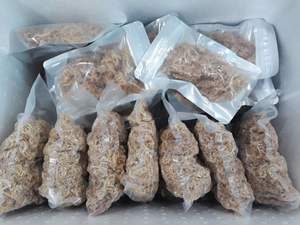 Fourniture en vrac de qualité supérieure d'algues séchées Eucheuma Cottonii du Vietnam au meilleur prix - Product Image 4