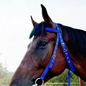 Cómodas bridas para montar a caballo hechas en Pakistán Precio razonable Material sólido Bridas para montar a caballo - Product Image 3