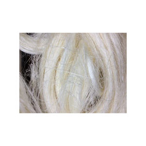 Fibre de sisal populaire de qualité supérieure distribution en gros grande quantité stock d'exportation fiable à faible coût - Product Image 1