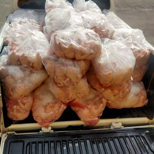 ไก่แช่แข็งฮาลาลทั้งตัว ไม่มีสารเติมแต่ง วัตถุดิบสดใหม่ - บรรจุภัณฑ์แบบขายส่ง วิตามิน - Product Image 6