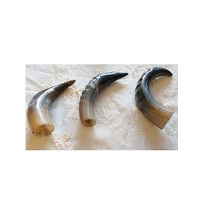 Corne en bois de haute qualité, support en métal et vaisselle faite à la main - Product Image 5