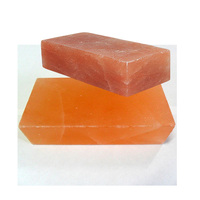 Briques de sel de l'Himalaya 100% pur, taille 20x10x5cm, pour les murs de grottes de sel, vente en gros, briques de sel de l'Himalaya pour les murs