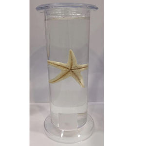 Conteneur de spécimens de musée à affichage clair à prix raisonnable pour les expositions éducatives et de recherche - Product Image 5