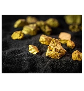 Carbón Activado Industrial Premium para la Recuperación de Oro, Exportación a Granel para la Recuperación de Metales Preciosos y el Procesamiento de Oro - Product Image 1