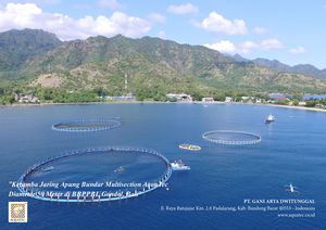 Cage ronde en HDPE, profondeur 6 mètres - diamètre 10m à 50m, pour l'élevage de poissons, durée de vie supérieure à 20 ans avec entretien régulier. - Product Image 4