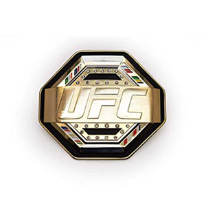 Entraînement léger professionnel sur mesure ceintures de championnat de boxe et de lutte entretenues par OEM - Product Image 2