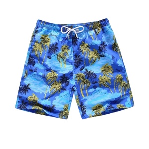 Short de poche en maille Shorts de plage Hommes Street Short Pantalon de planche de surf Shorts d'été Sports de plein air Maillot de bain - Product Image 1