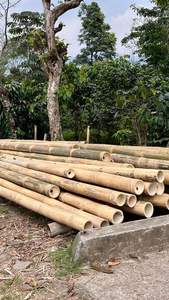 Custom <b>Bamboo</b> Poles for Building <b>Material</b> Structural Grade Treated Anti Termite Wholesale - Product Image 2