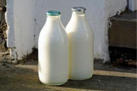 Vente en gros de lait écrémé complet instantané de vache Qualité supérieure 100% lait de vache entier frais UHT (1.5% de matières grasses) disponible HALAL 25Kg sec