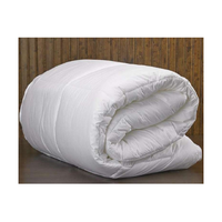 Prix de gros Couette surdimensionnée pour les nuits froides d'hiver en conception d'usine OEM Disponible maintenant en vente