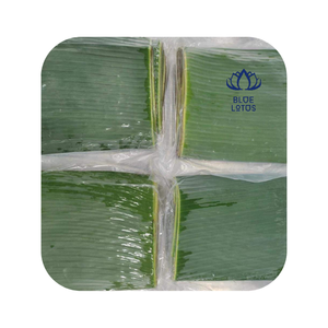 IQF-Hoja de hojas de plátano de Vietnam, producto agrícola al por mayor, buen precio - Product Image 1