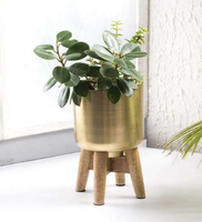AK Laiton Personnalisé Décoratif Doré Bol Planteur En Métal Pour Intérieur Table Planteur Pots De Fleurs Pièce Maîtresse