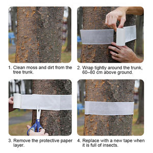 Bande adhésive <span class=keywords><strong>anti</strong></span>-insectes <span class=keywords><strong>pour</strong></span> arbres <span class=keywords><strong>ANTI</strong></span> 5m, empêche les ravageurs d'atteindre les canopies des arbres - Product Image 6