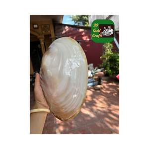 Plat de service traditionnel de luxe en gros Conception unique d'artisanat de nacre du Vietnam Technique polie - Product Image 5