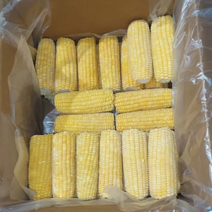 Granos de maíz congelados de primera calidad, MAÍZ AMARILLO, MAÍZ DULCE CONGELADO LISTO PARA EXPORTAR, Maíz glutinoso congelado IQF - Product Image 2