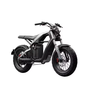 Factory Direct Stock For New Seg/w.ay Xyber 1500W 48V Adult Electrics Bike With 2-Year Warranty Ready to Ship - Product Image 2